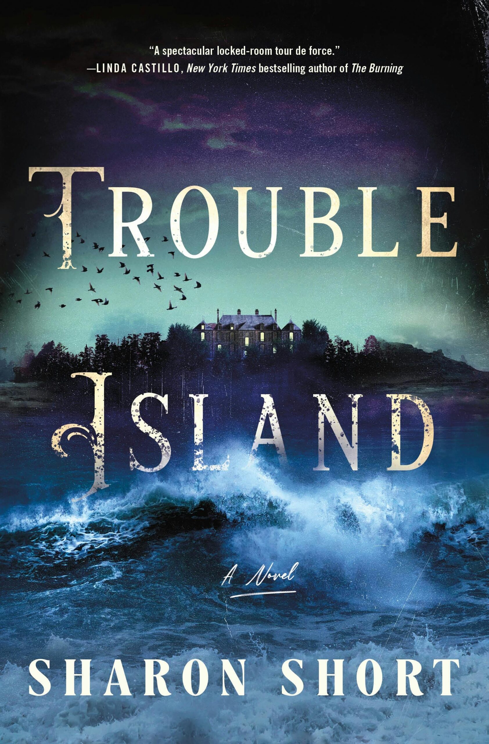 Trouble Island: A Novel by Sharon Short